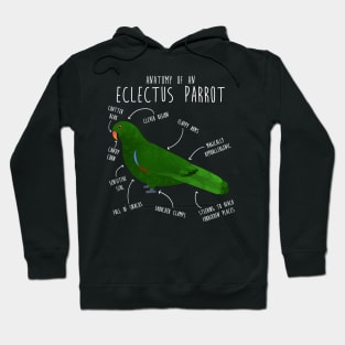 Male Eclectus Anatomy Hoodie